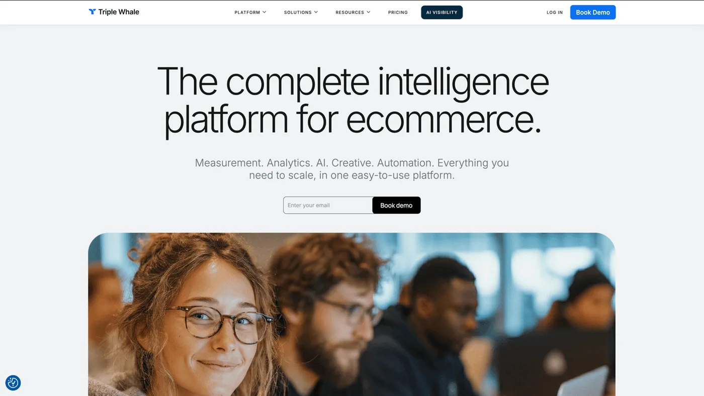 Triple Whale ecommerce analytics platform